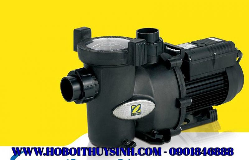 Remove term: BƠM HỒ BƠI Zodiac FloPro 2.0Hp BƠM HỒ BƠI Zodiac FloPro 2.0HpRemove term: xây dựng hồ bơi xây dựng hồ bơiRemove term: thiết kế thi công xây dựng hồ bơi thiết kế thi công xây dựng hồ bơiRemove term: thiết kế thi công hồ bơi thiết kế thi công hồ bơi